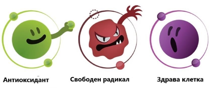 Svobodni.radikali